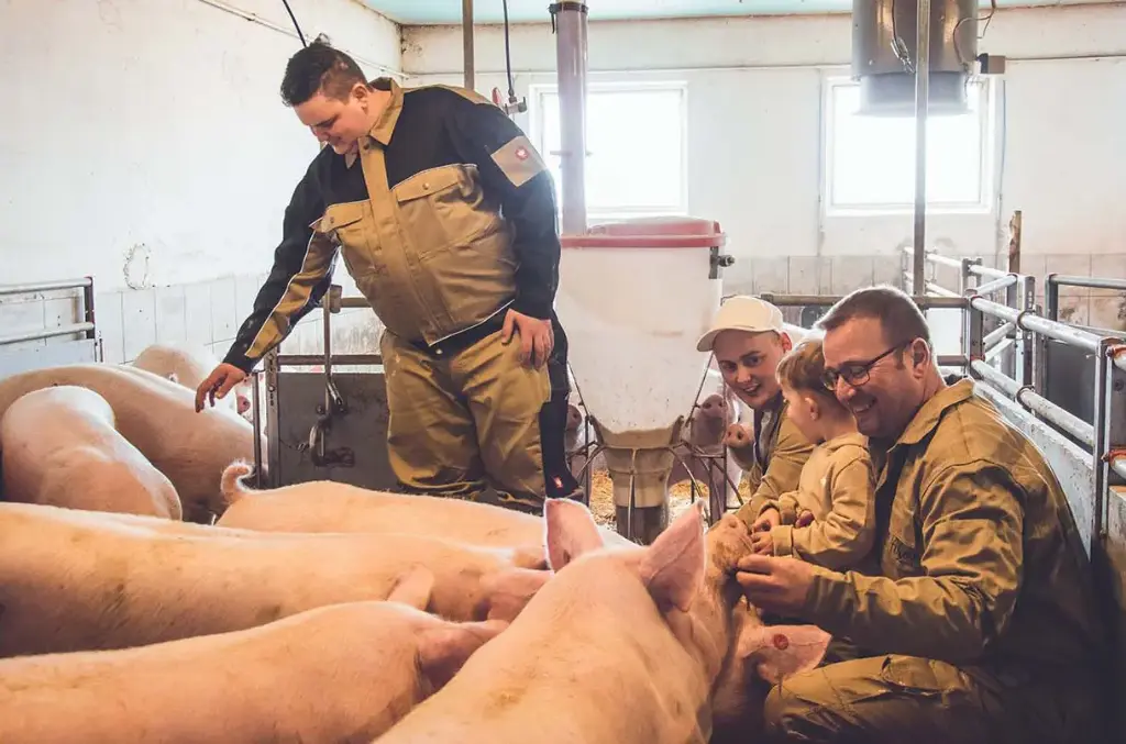 Schweinebetrieb (für alle Betriebsgrößen)