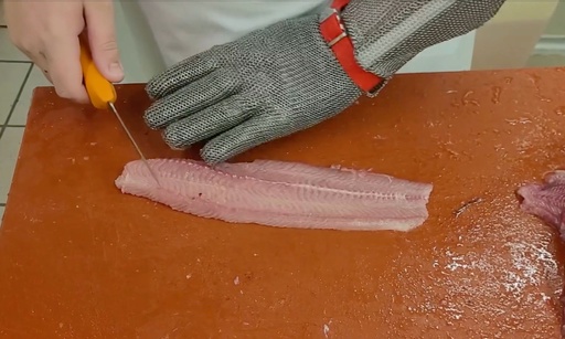 Butchering course (African catfish)